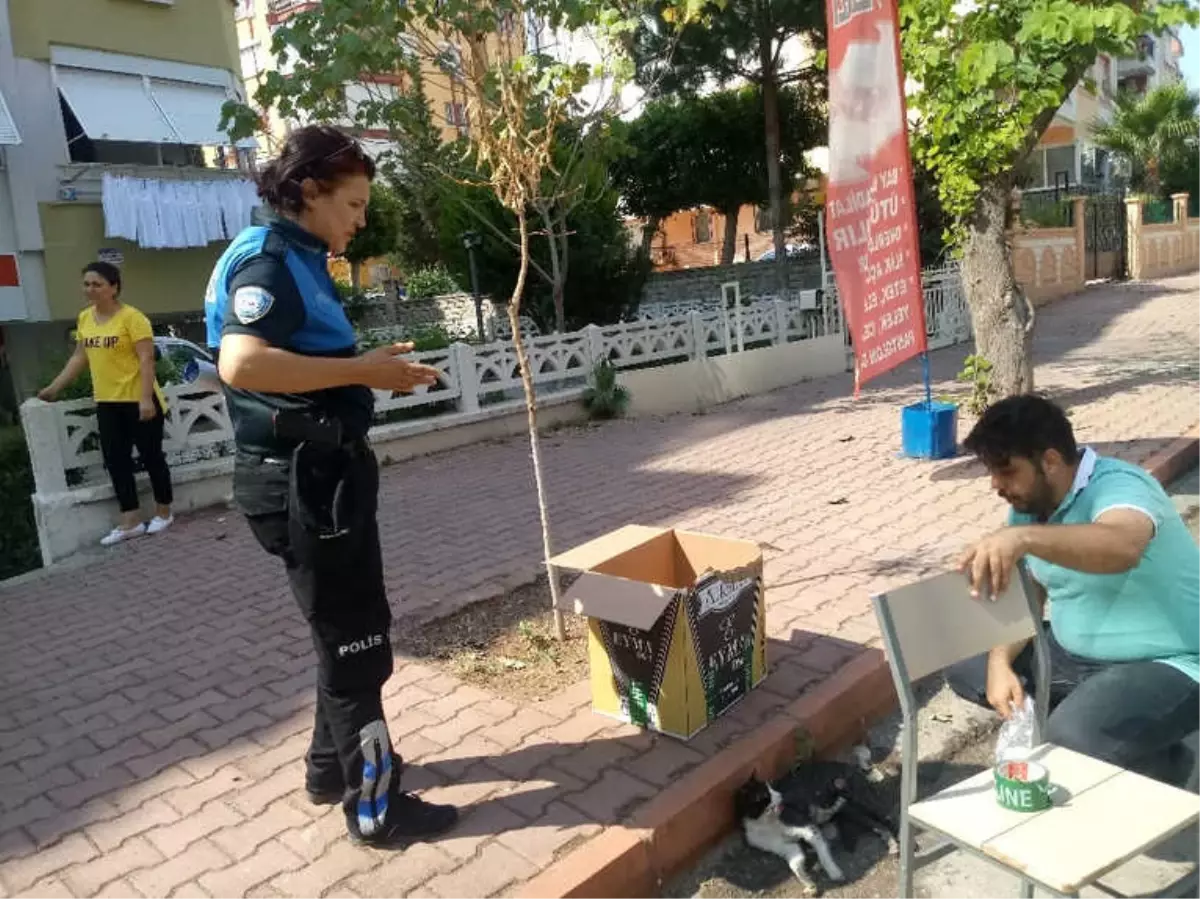 Kadın Polis Memuru Yaralı Kediye Duyarsız Kalamadı