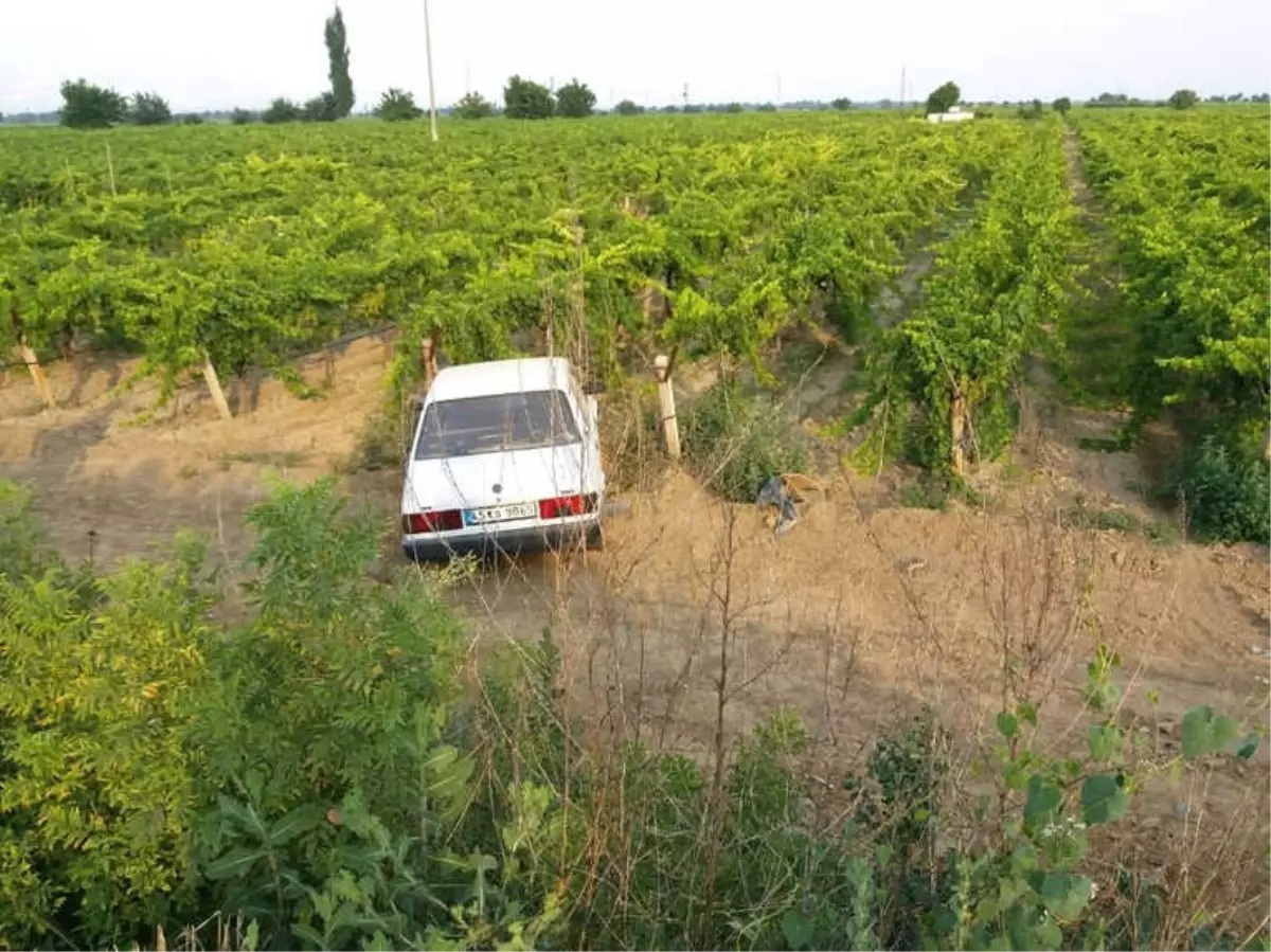 Manisa\'da Bir Araç Üzüm Bağına Uçtu: 1 Yaralı