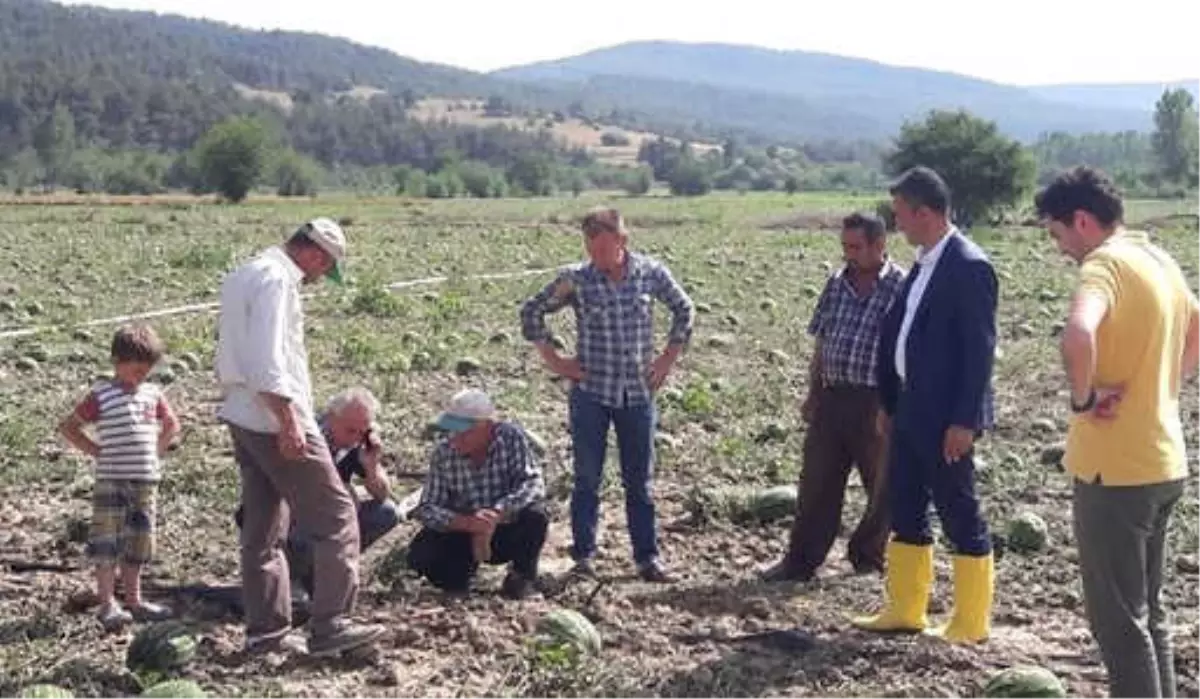 Soğucakpınar Köyünde Hasar Tespit Çalışmaları