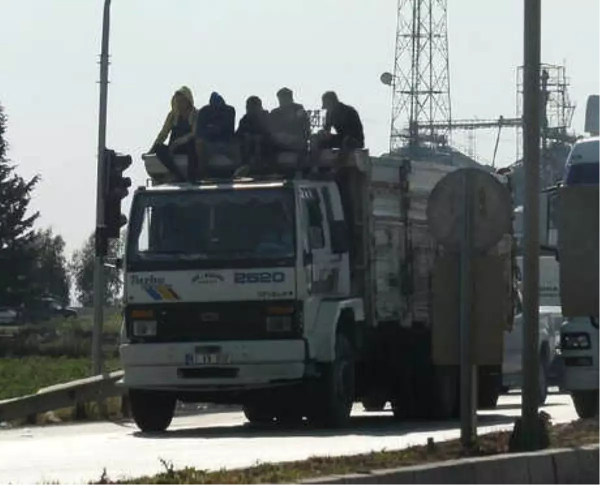 Tarım İşçilerinin Tehlikeli Yolculuğu Görenleri Hayrete Düşürdü