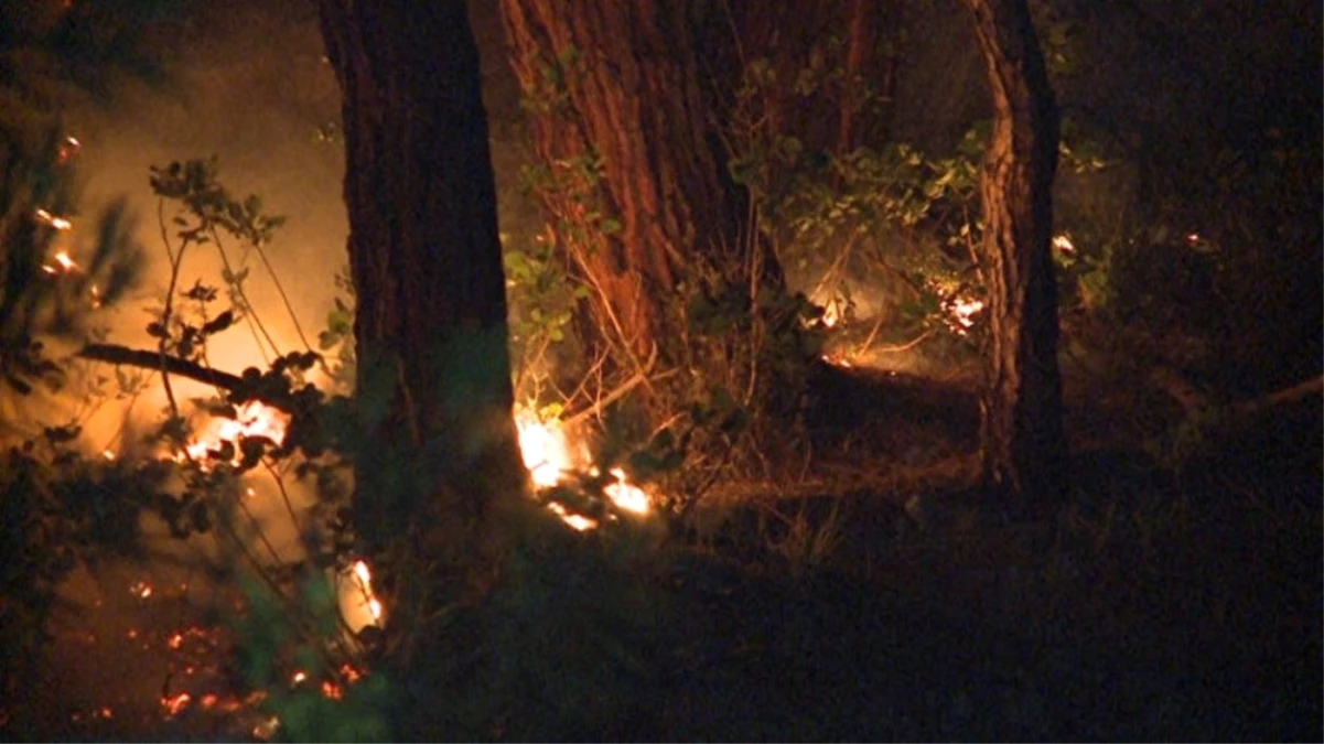 Abhazya\'da Orman Yangını Söndürülemedi