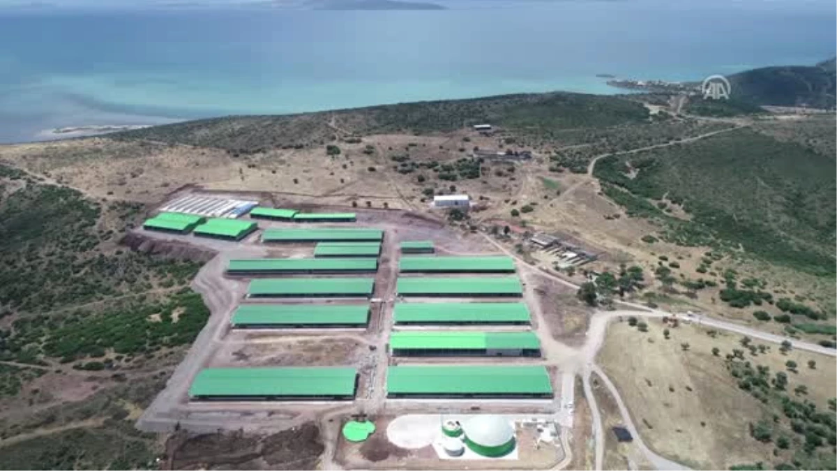 Cezaevi Arazisinde Kurulan Biyogaz Tesisi 1,5 Milyon Liralık Katma Değer Yaratacak