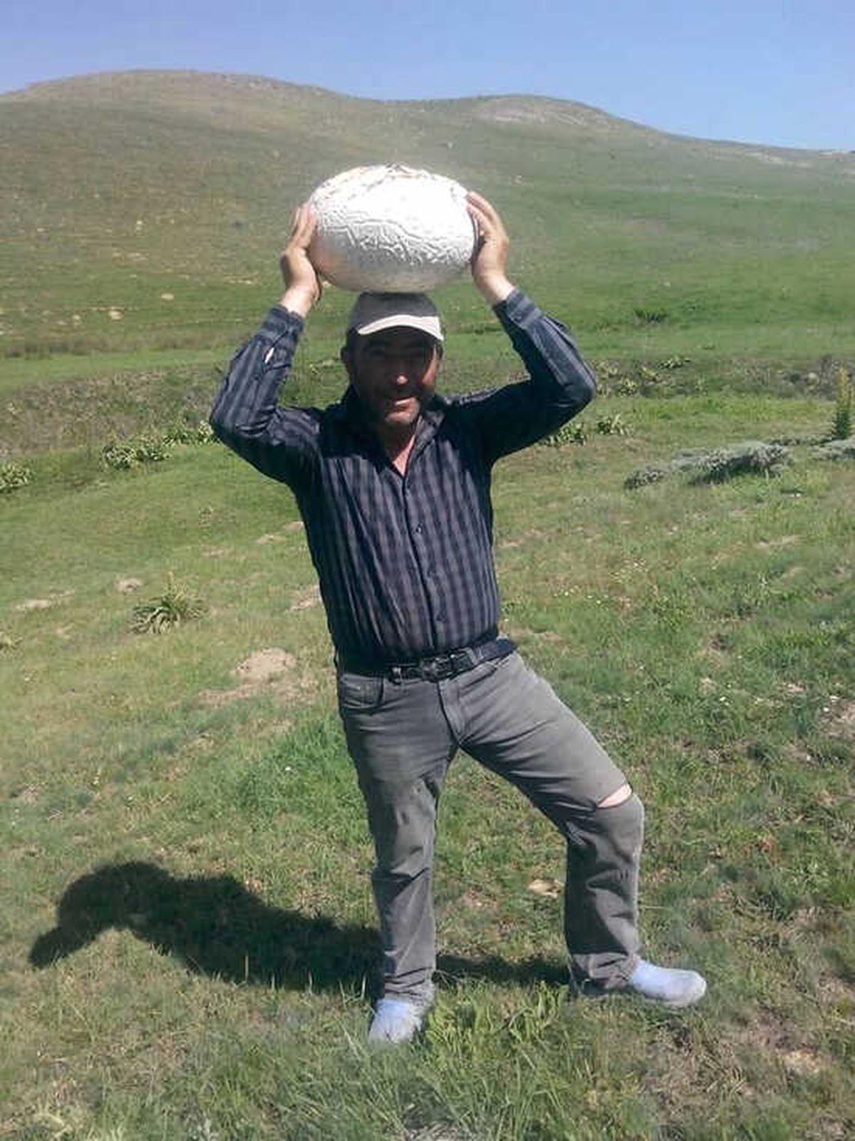 Dev Mantarlar Şaşırttı