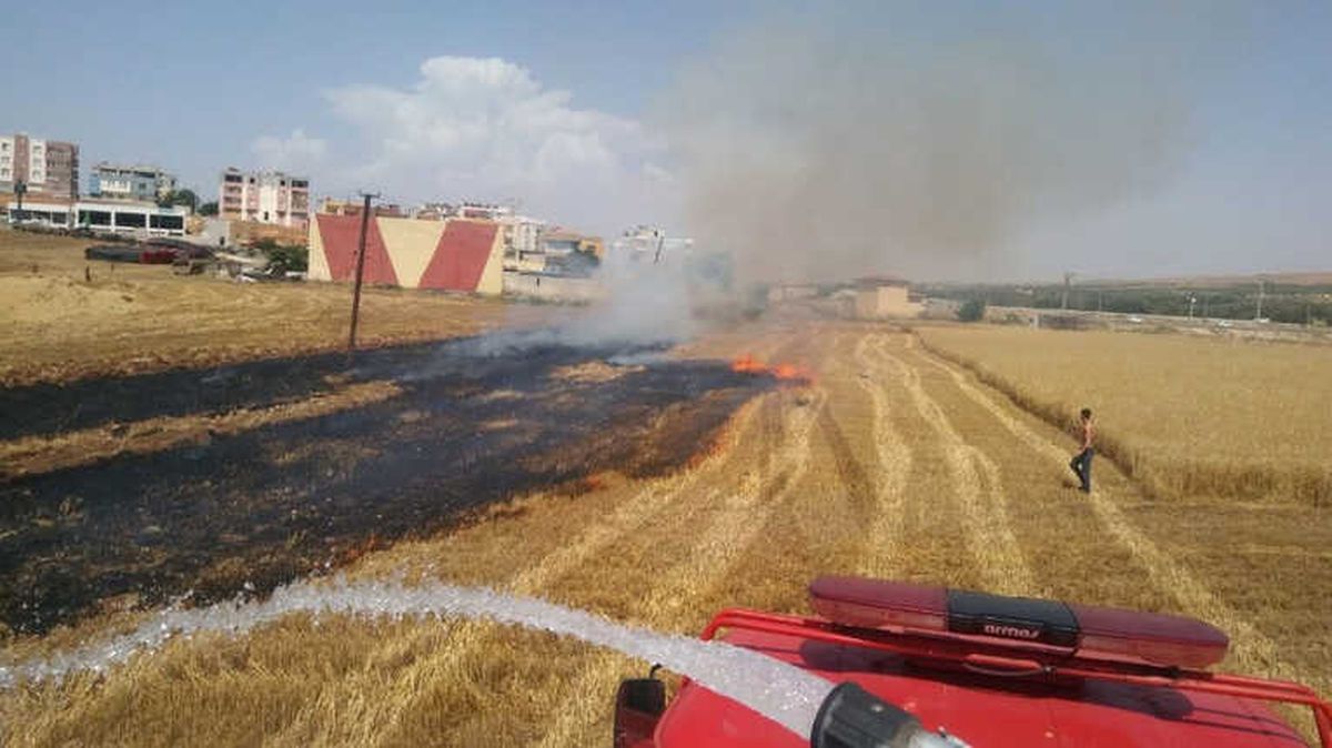 Hasat Yapılırken Yangın Çıktı
