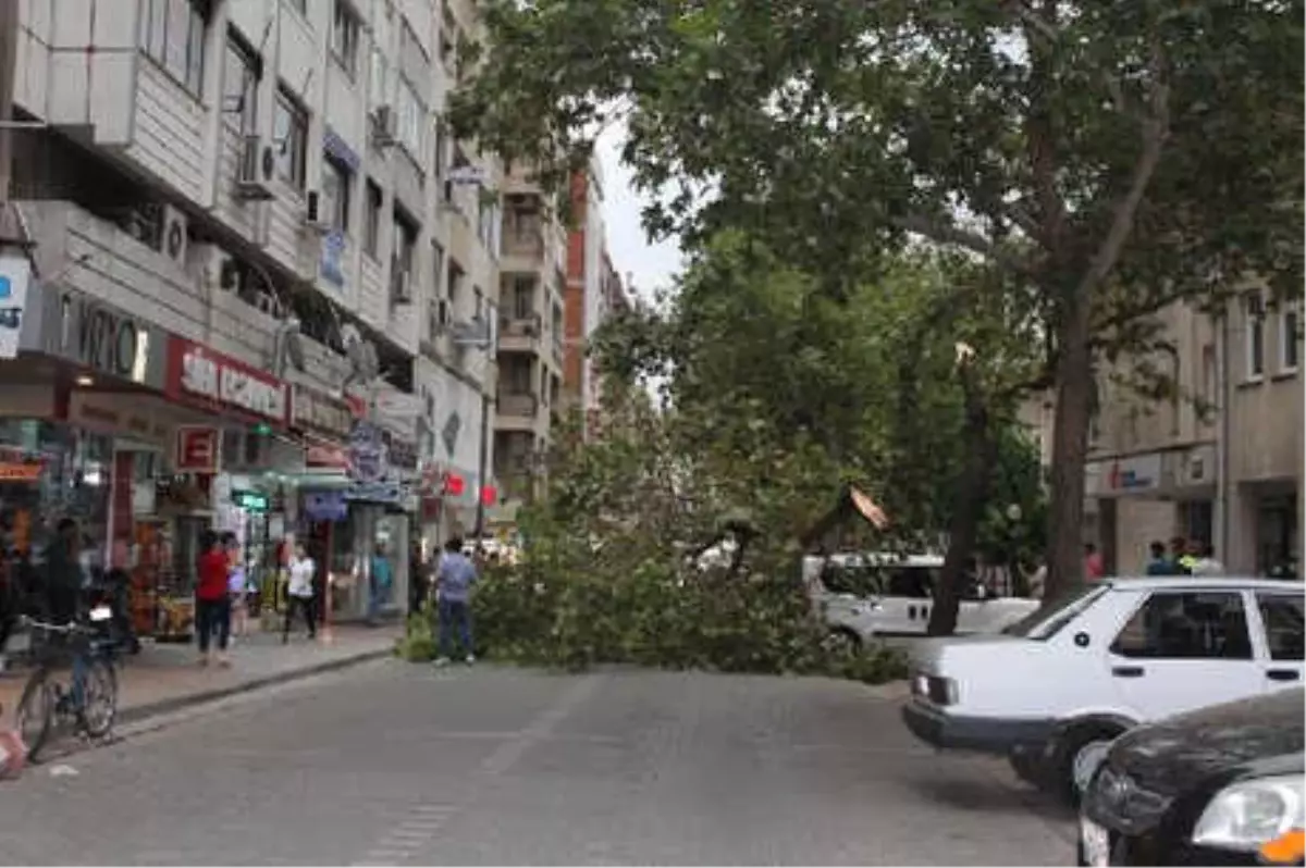 İzmir\'deki Şiddetli Rüzgar Pazar Tezgahlarını Yıktı (2)