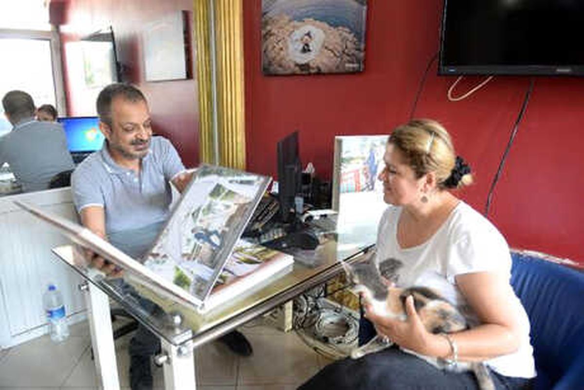 Kedi Evi Değil, Fotoğraf Stüdyosu