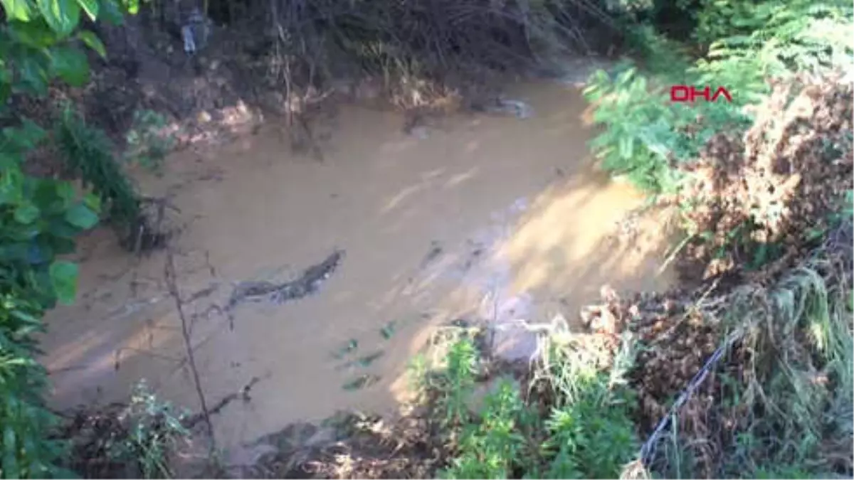 Manisa 2 Saatlik Sağnak Yağmur Alaşehir\'i Vurdu