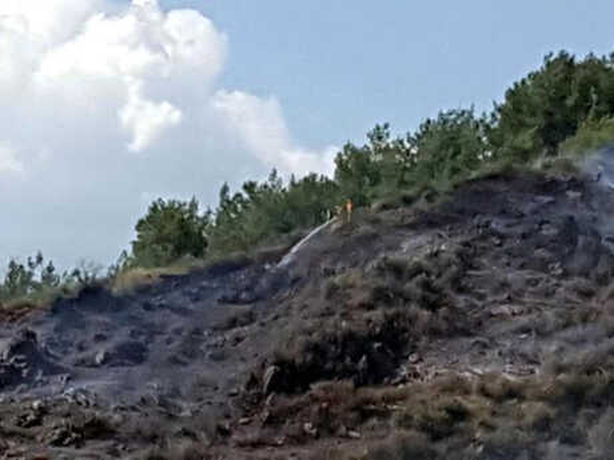 Muğla\'da Yerleşim Yeri Yakınında Orman Yangını