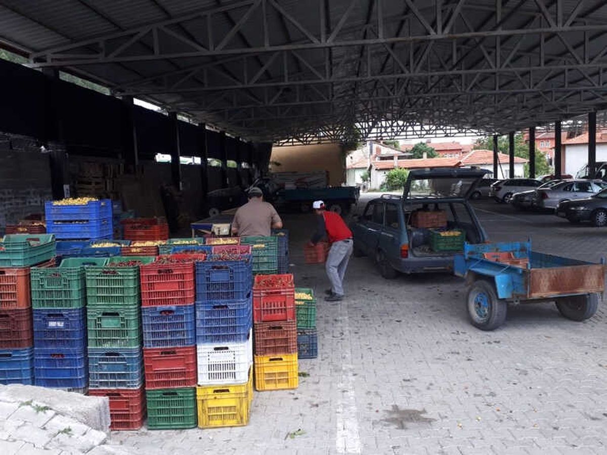 Şaphane\'de Kirazın Kilosu 1 TL\'ye Kadar Düştü