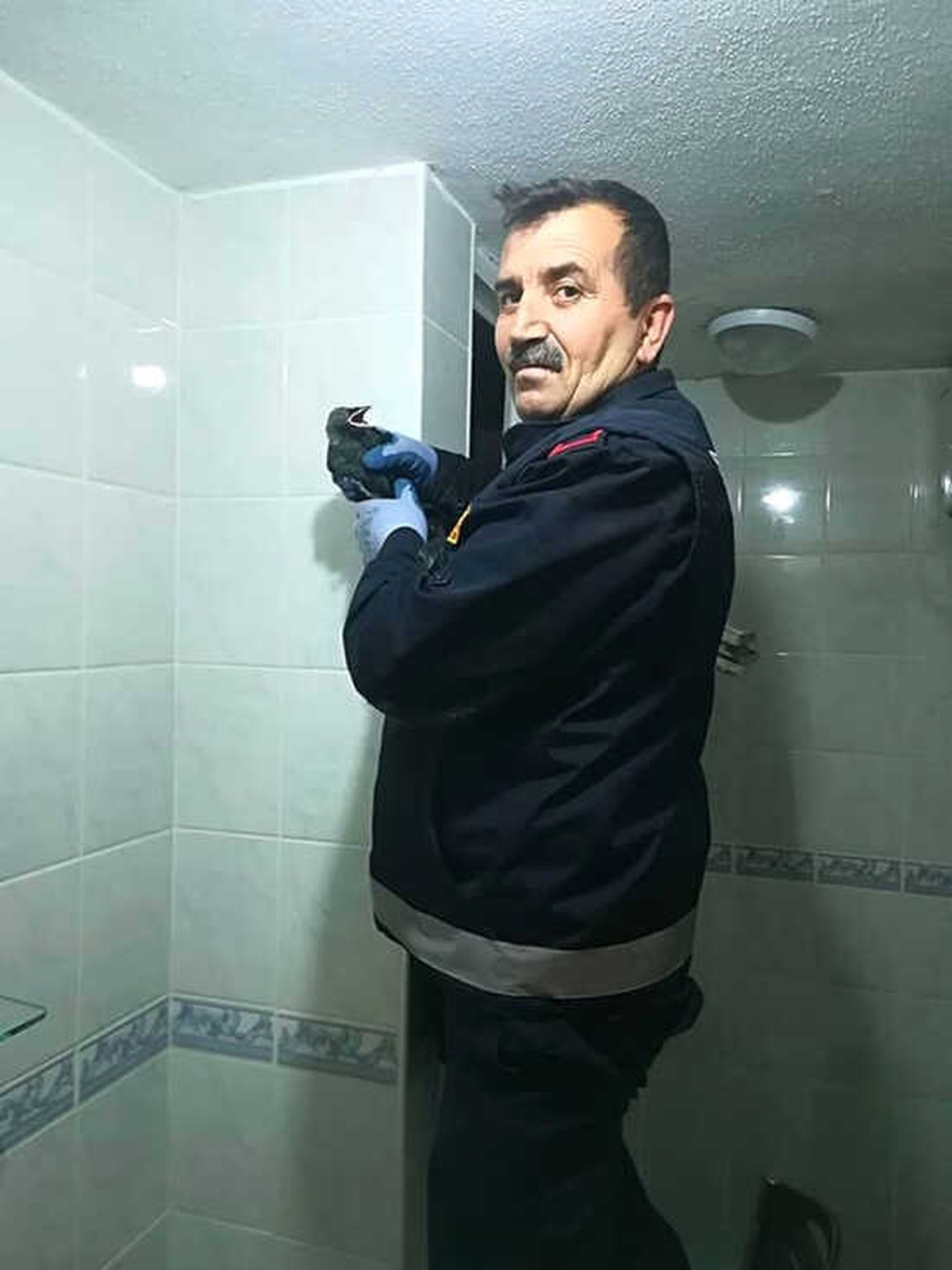 Sıkıştığı Yerden Kurtarılarak Doğaya Salındı