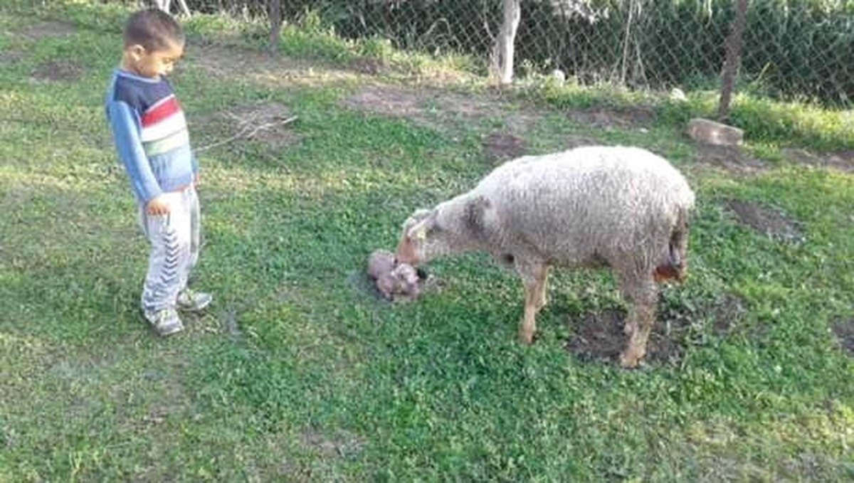 Sulama Kanalında Kaybolan Çocuğun Cesedi Bulundu