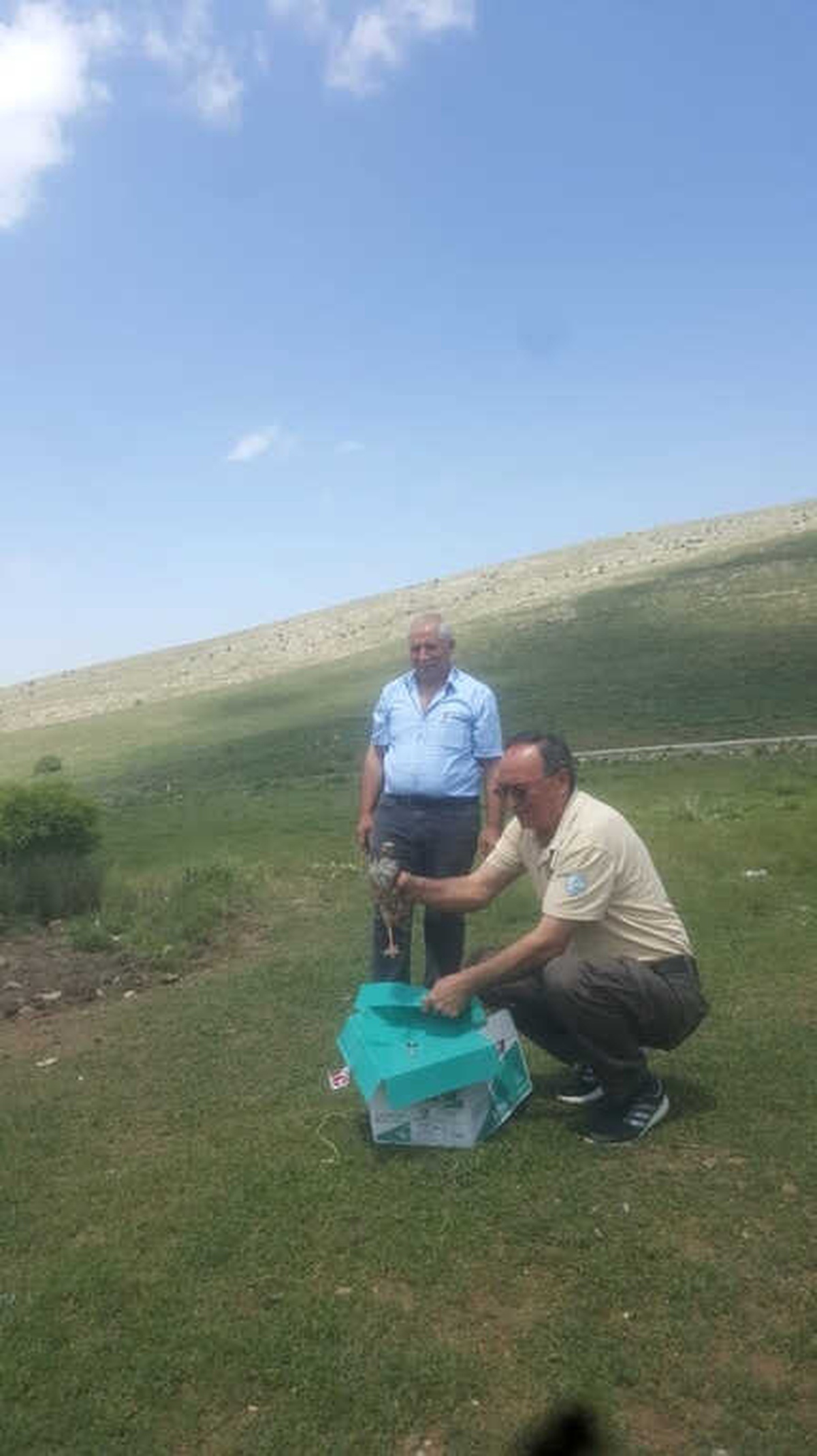 Tedavileri Tamamlanan Kuşlar Doğaya Bırakıldı