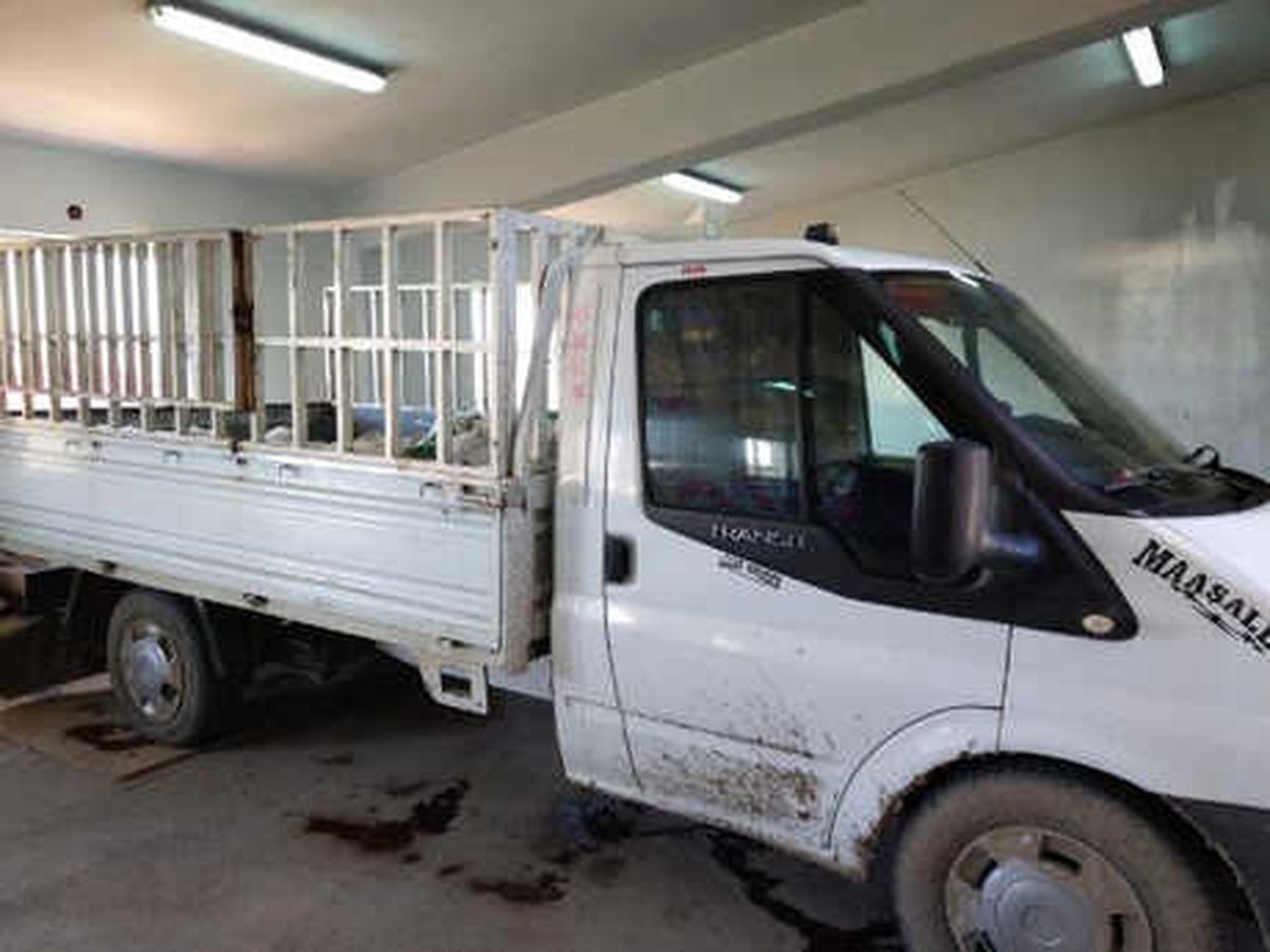 Van\'da Kaçak Avlanan 2 Ton 300 Kilo İnci Kefali Ele Geçirildi