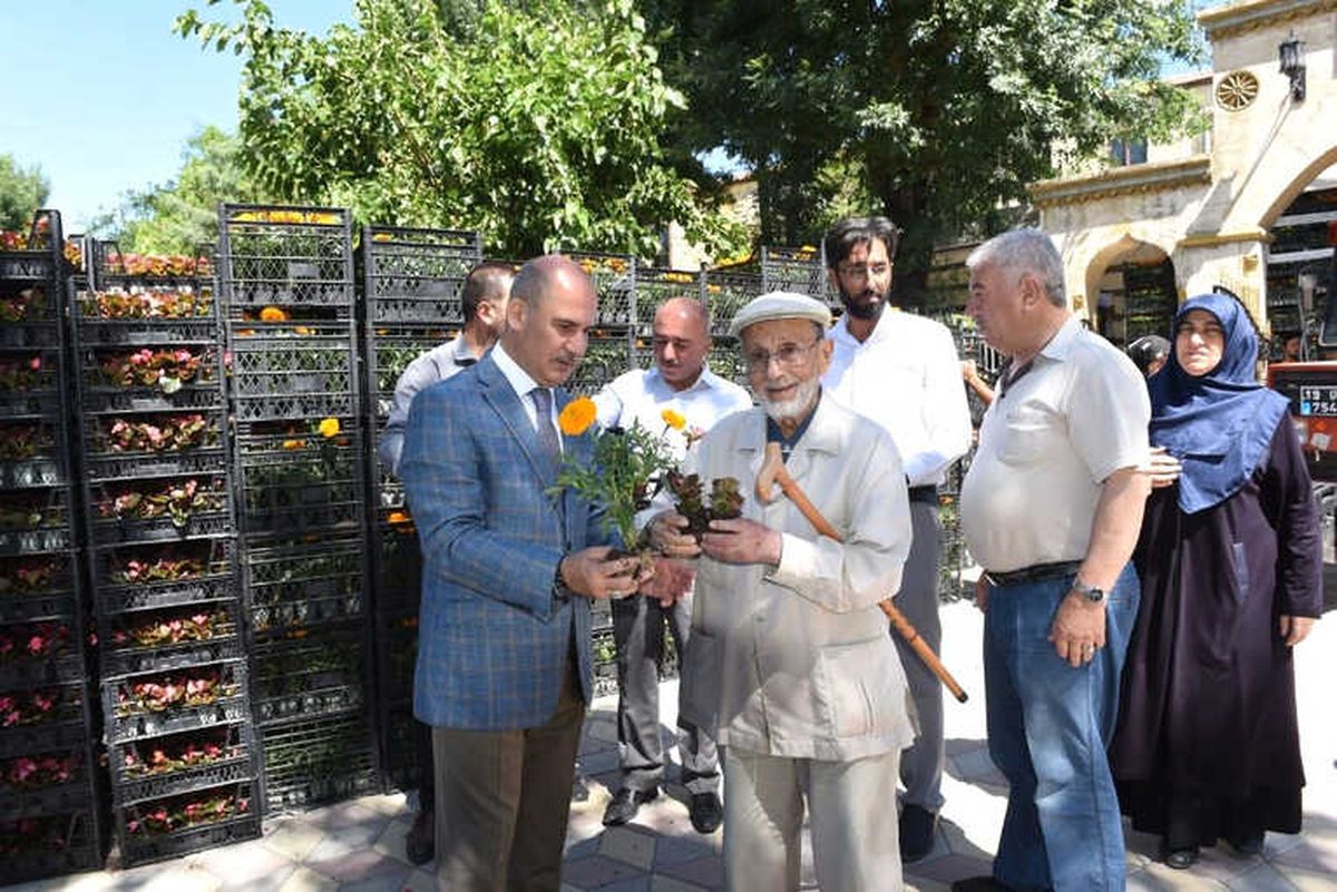 Çorum Belediyesi Arife Günü 60 Bin Çiçek Dağıtacak
