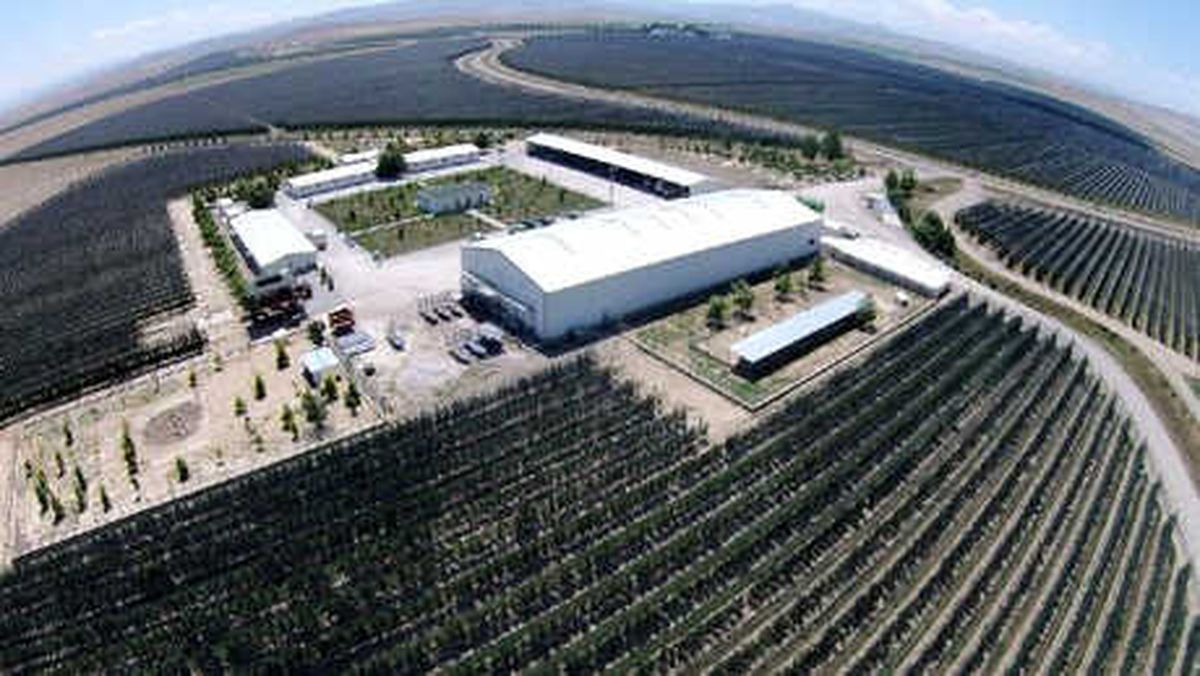 Niğde\'deki Dev Bahçeden 20 Bin Ton Elma Toplanıyor