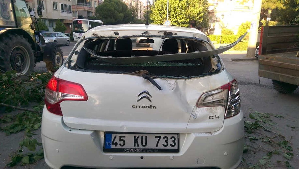 Seyir Halindeki Otomobillerin Üzerine Ağaç Devrildi