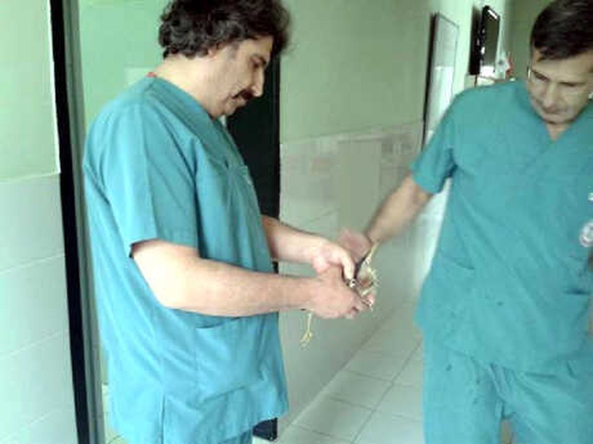 Yaralı Bulunan Balaban, Tedavisinin Ardından Doğaya Bırakıldı