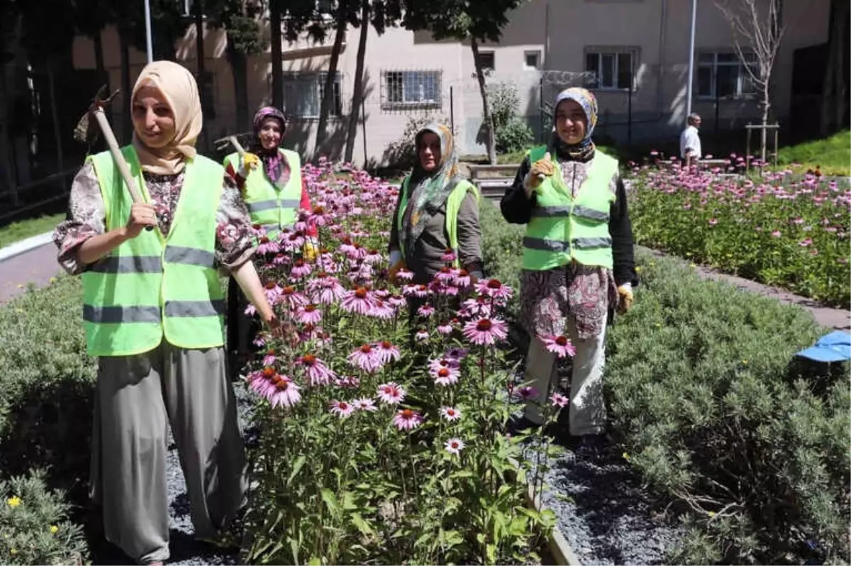 Bağcılar\'da Park ve Bahçelere Kadın Eli Değdi