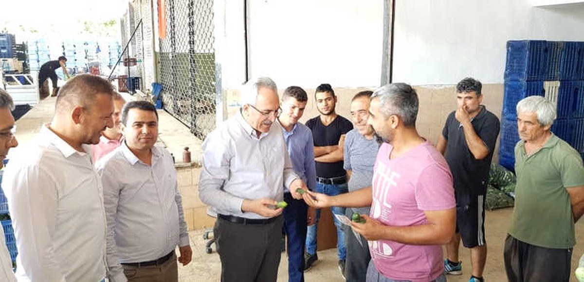 Milletvekili Aydın: "Tarım ve İhracat Şahlanacak"
