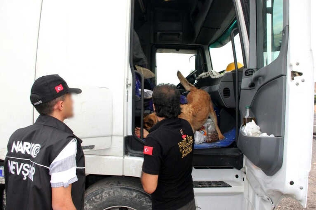 Nevşehir Polisi Uyuşturucuya Geçit Vermedi: 2 Buçuk Kilo Bonzai Ele Geçirildi