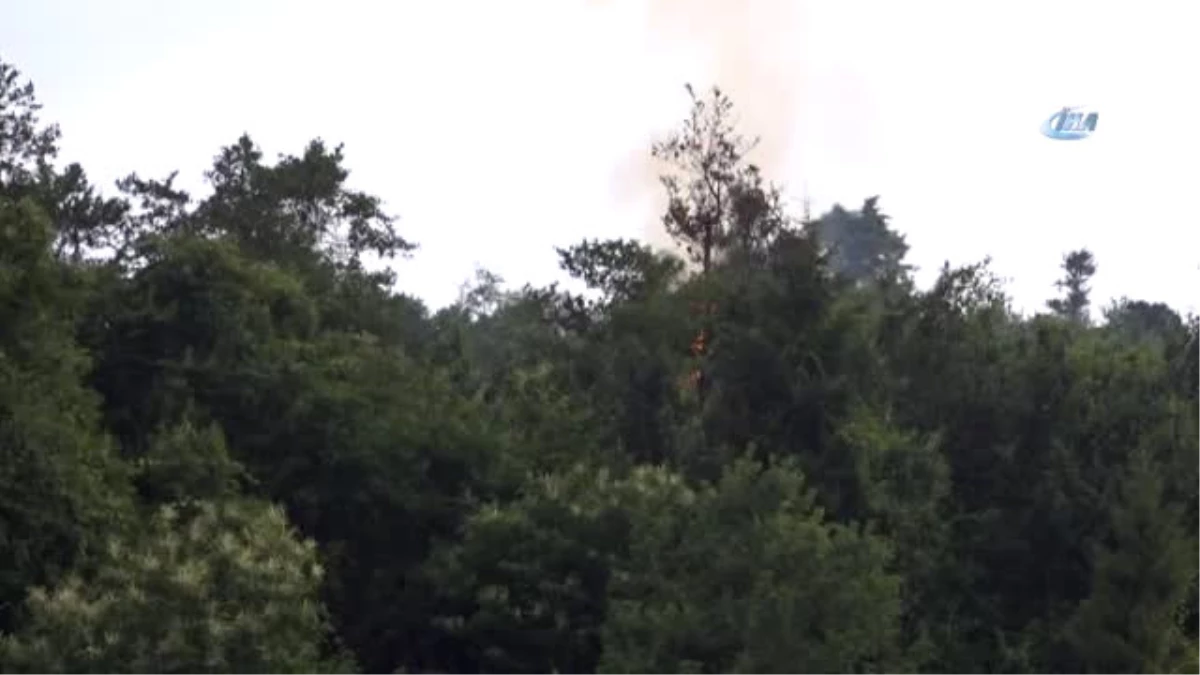 Rize\'de Yıldırım Düşmesi Sonucu Ormanda Yangın Çıktı