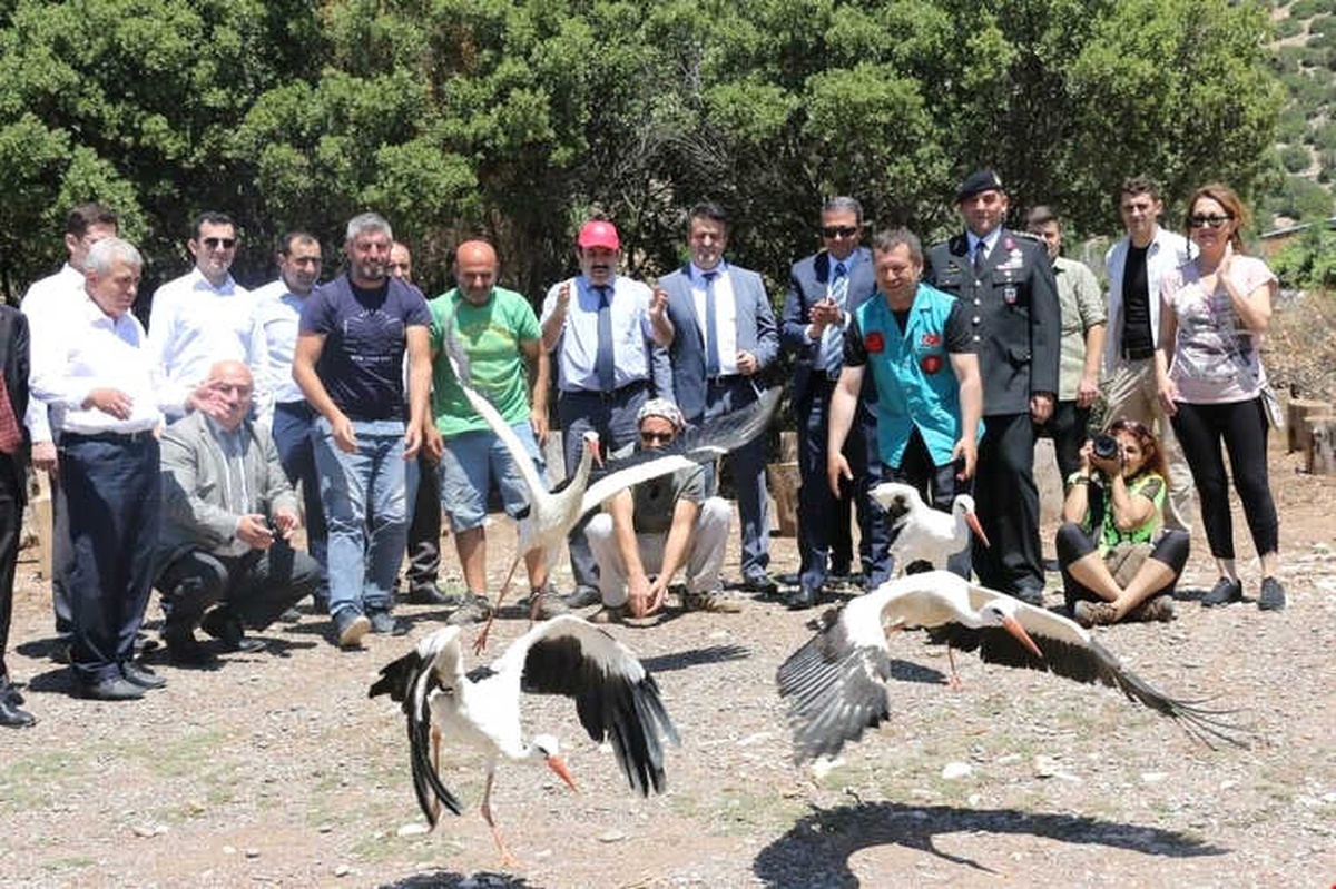 Tedavisi Tamamlanan Leylek, Baykuş ve Çakal Doğaya Salındı