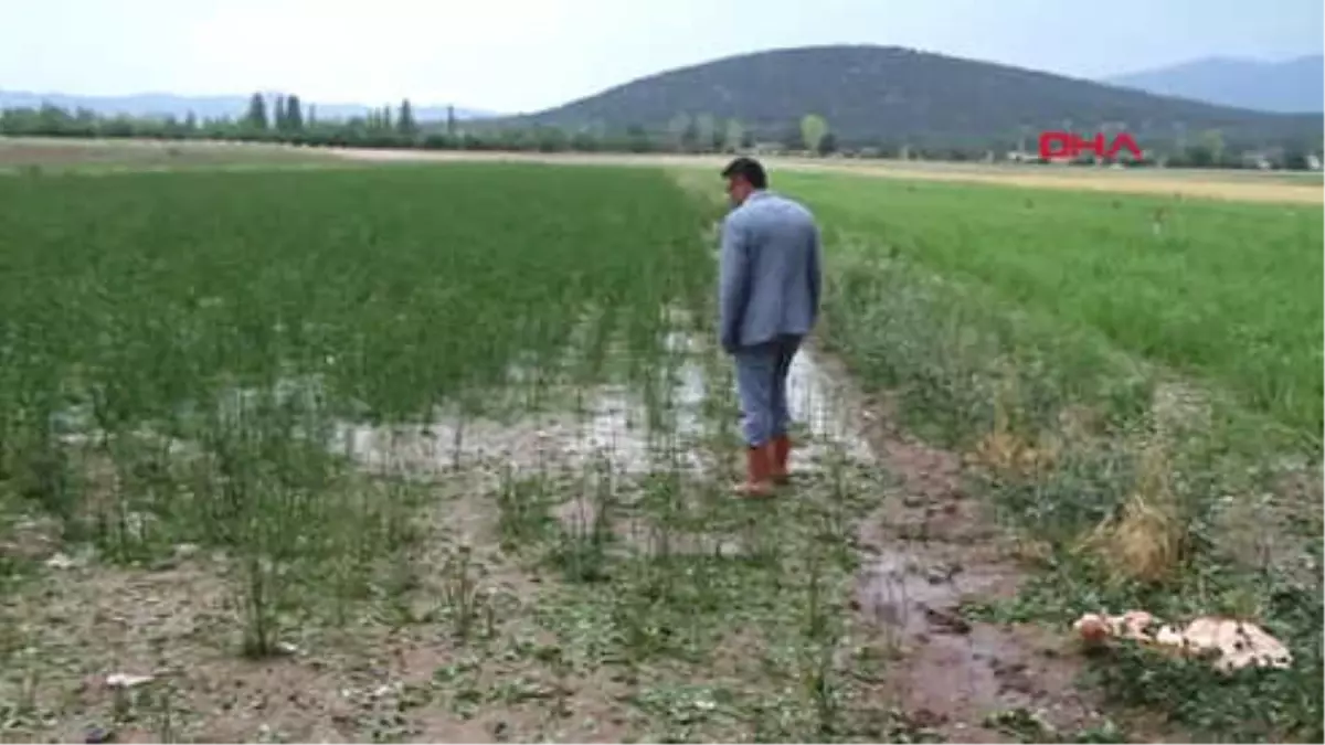 Burdur Karamanlı\'da Sağanak ve Dolu Tarım Arazilerini Vurdu