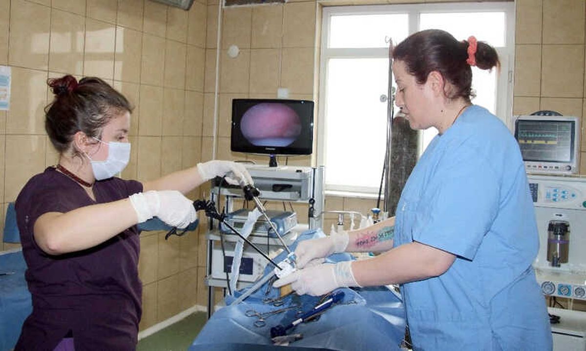 Çankaya\'da 7 Bin Sokak Hayvanı Tedavi Edildi