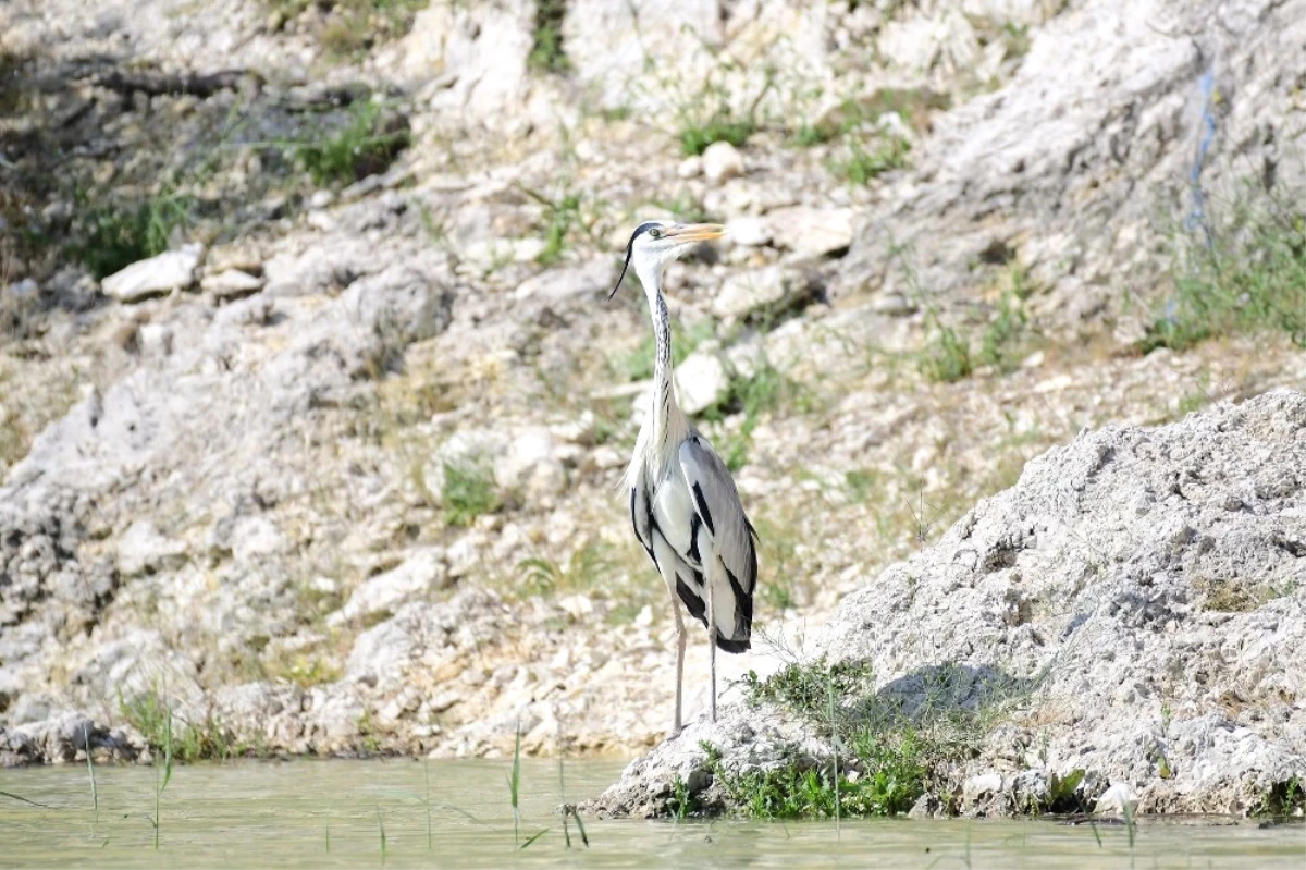 Fotoğraf Avcıları" Nallıhan\'da Buluştu