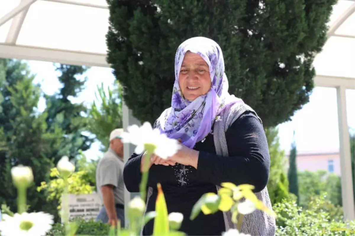 Şehidin Annesi Oğlunun Mezarını Eliyle Temizledi