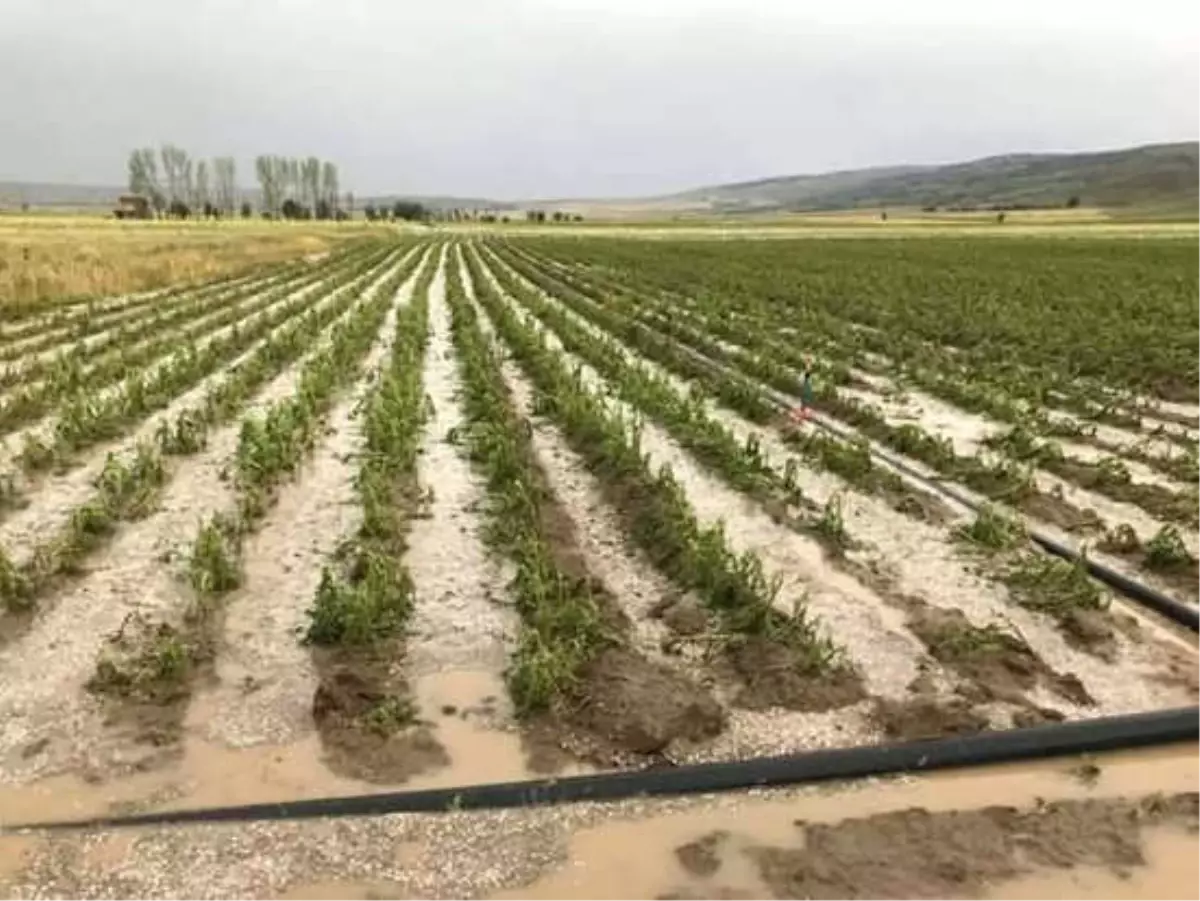 Tarlaları ve Evleri Su Bastı