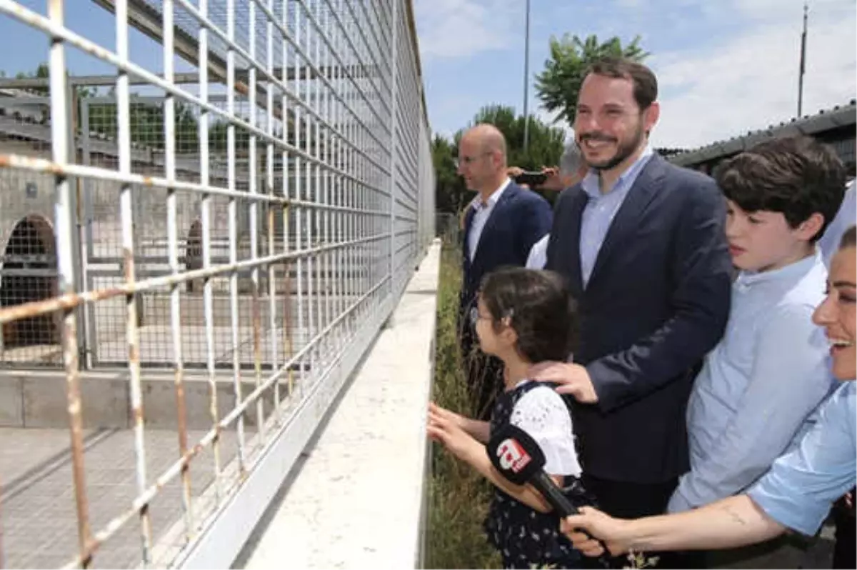 Albayrak: Hayvan Haklarıyla İlgili Tasarının Takipçisi Olacağız