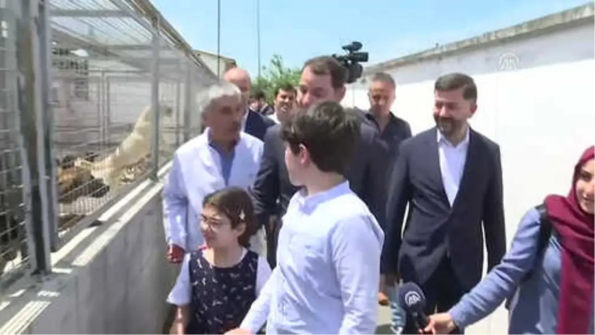 Bakan Berat Albayrak, Hayvan Barınağını Ziyaret Etti