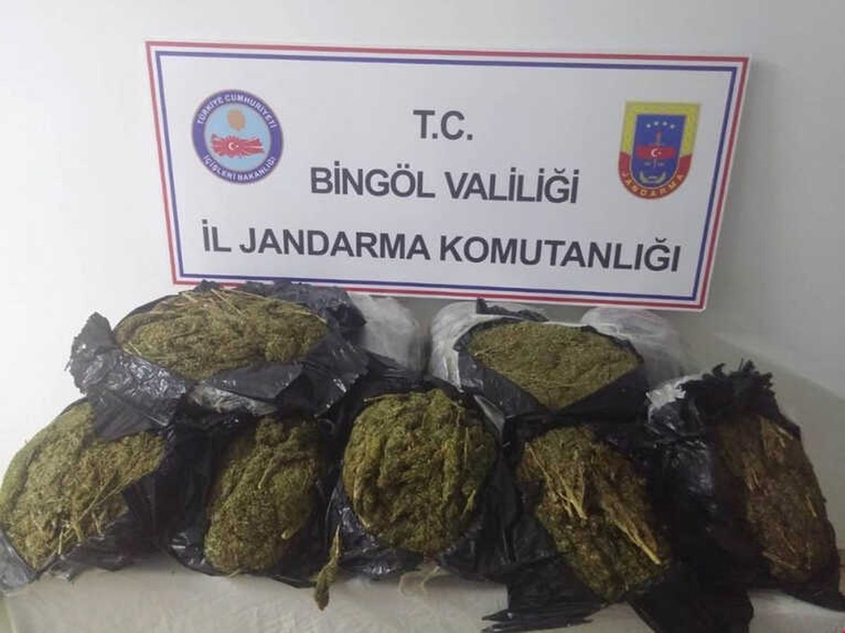 Bingöl\'de 24 Kilo Esrar Ele Geçirildi