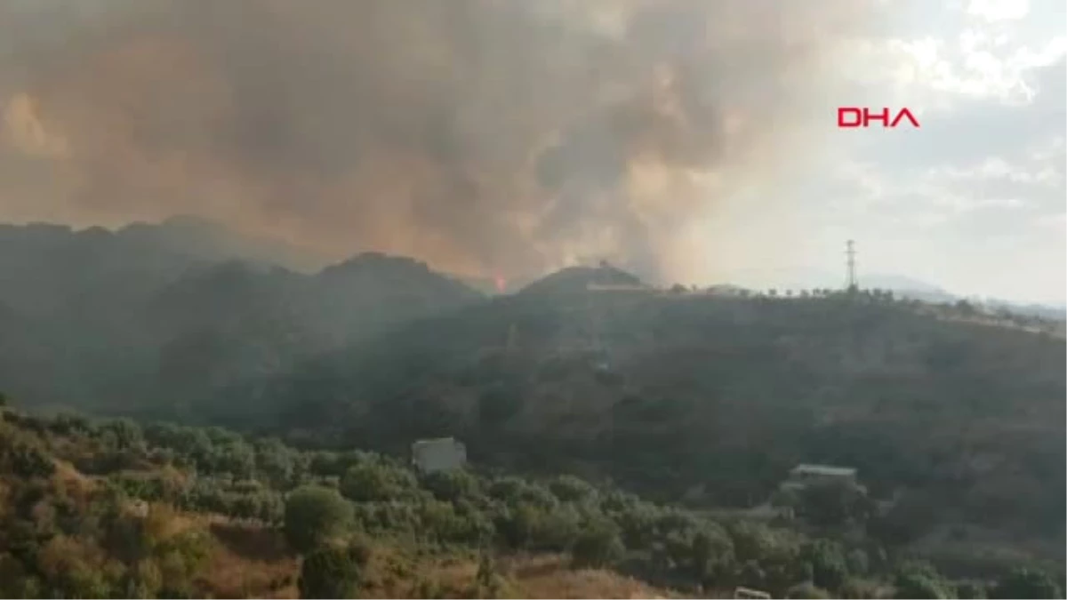 Manisa\'da Korkutan Orman Yangını