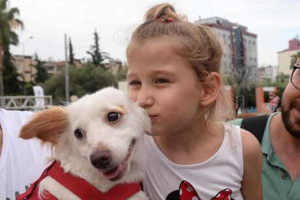 Mersinli Hayvanseverlerden Eylem