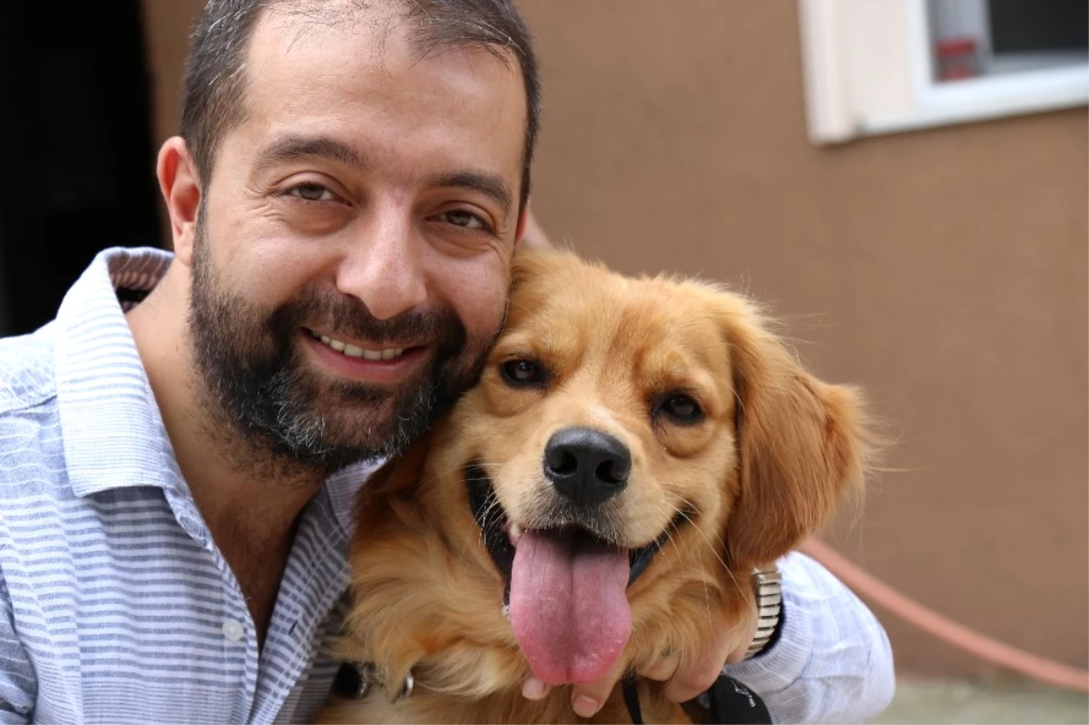 Sakarya\'da Vahşet Zonguldak\'ta Köpeğe Sevgi