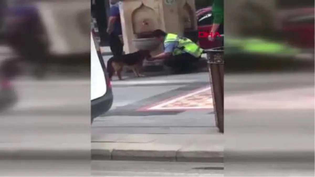 Polis, Avucuyla Köpeğe Su İçirdi Hd