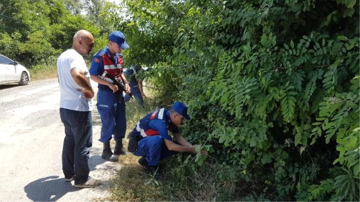 Sapanca\'da Vahşetin Failinin Bulunması İçin Seferberlik