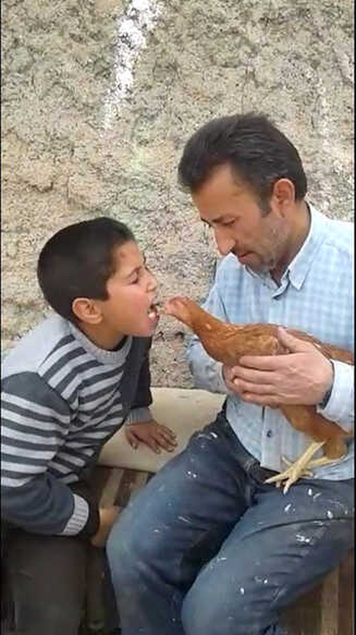 Ağzındaki Yem ile Tavuğu Besleyen Küçük Çocuğun Görüntüsü Büyük Beğeni Kazandı