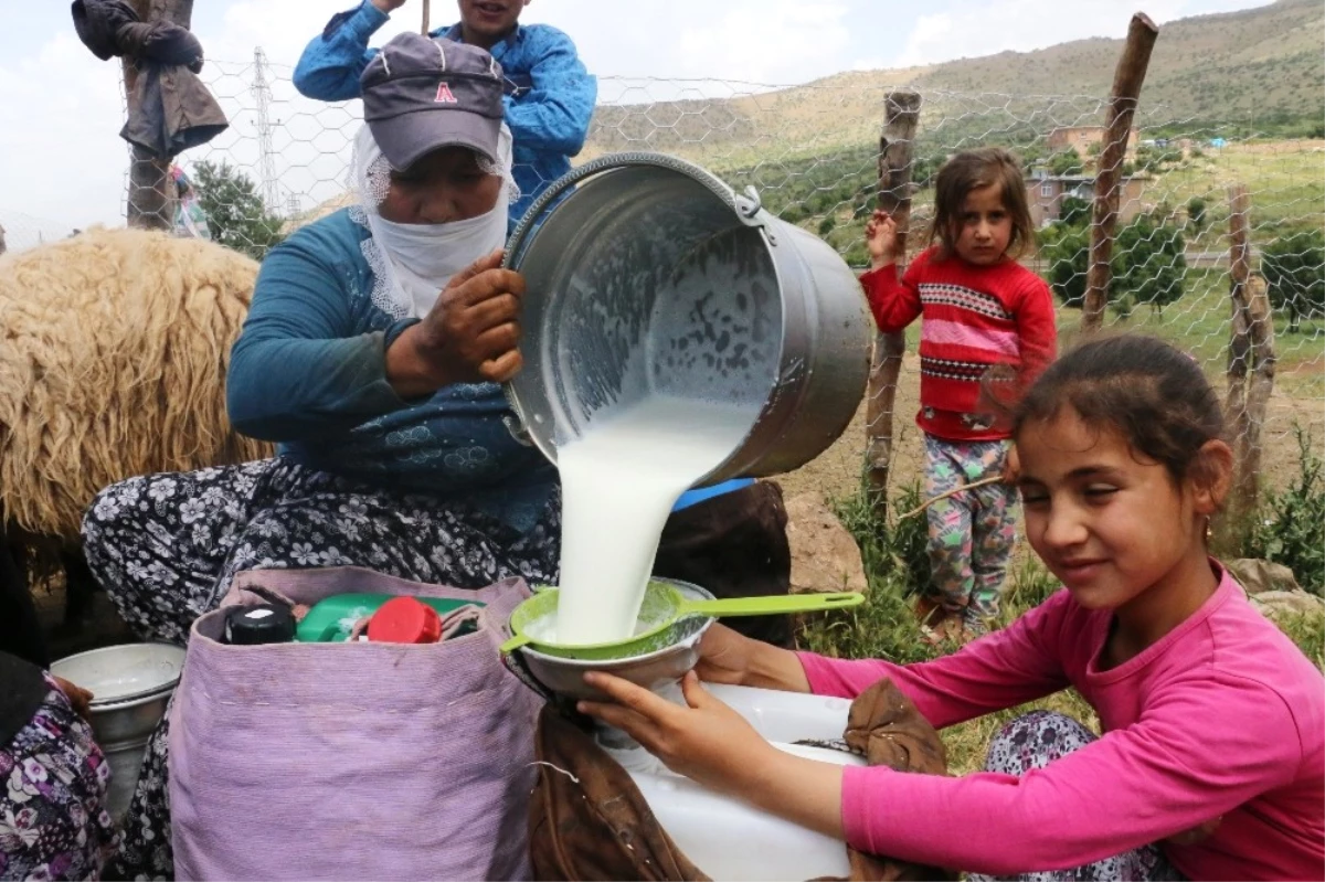 Dağlar Temizlendi Yaylalara Huzur Geldi