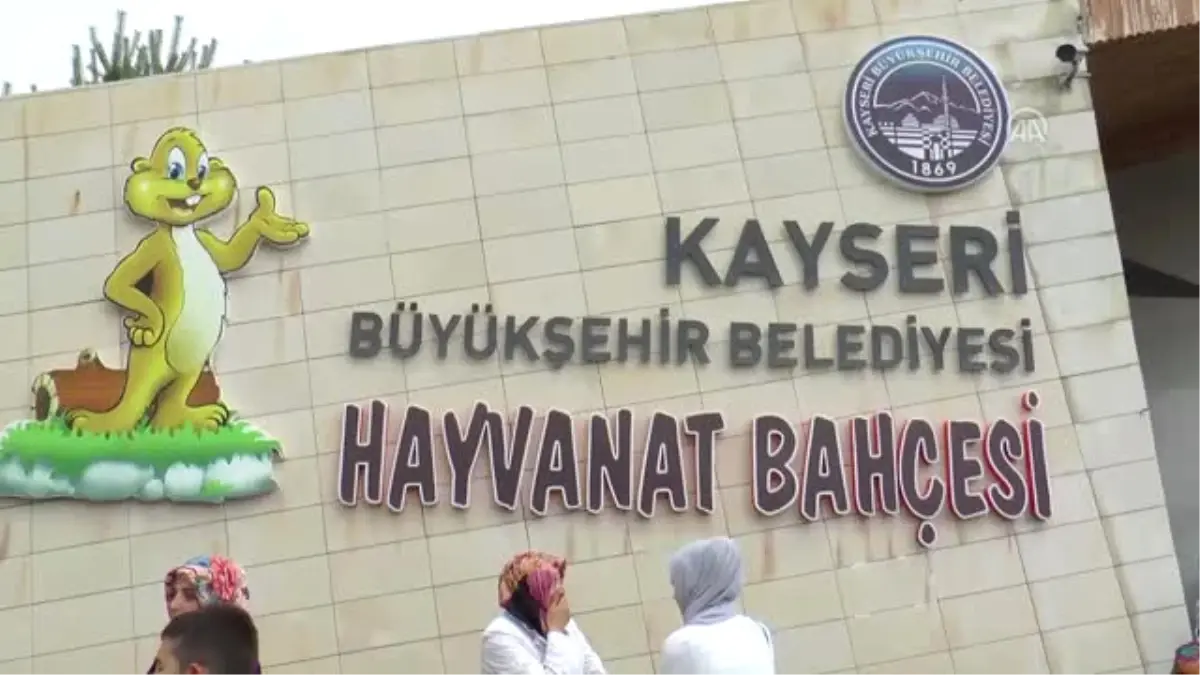 Kayseri Hayvanat Bahçesi\'nde Bayram Yoğunluğu