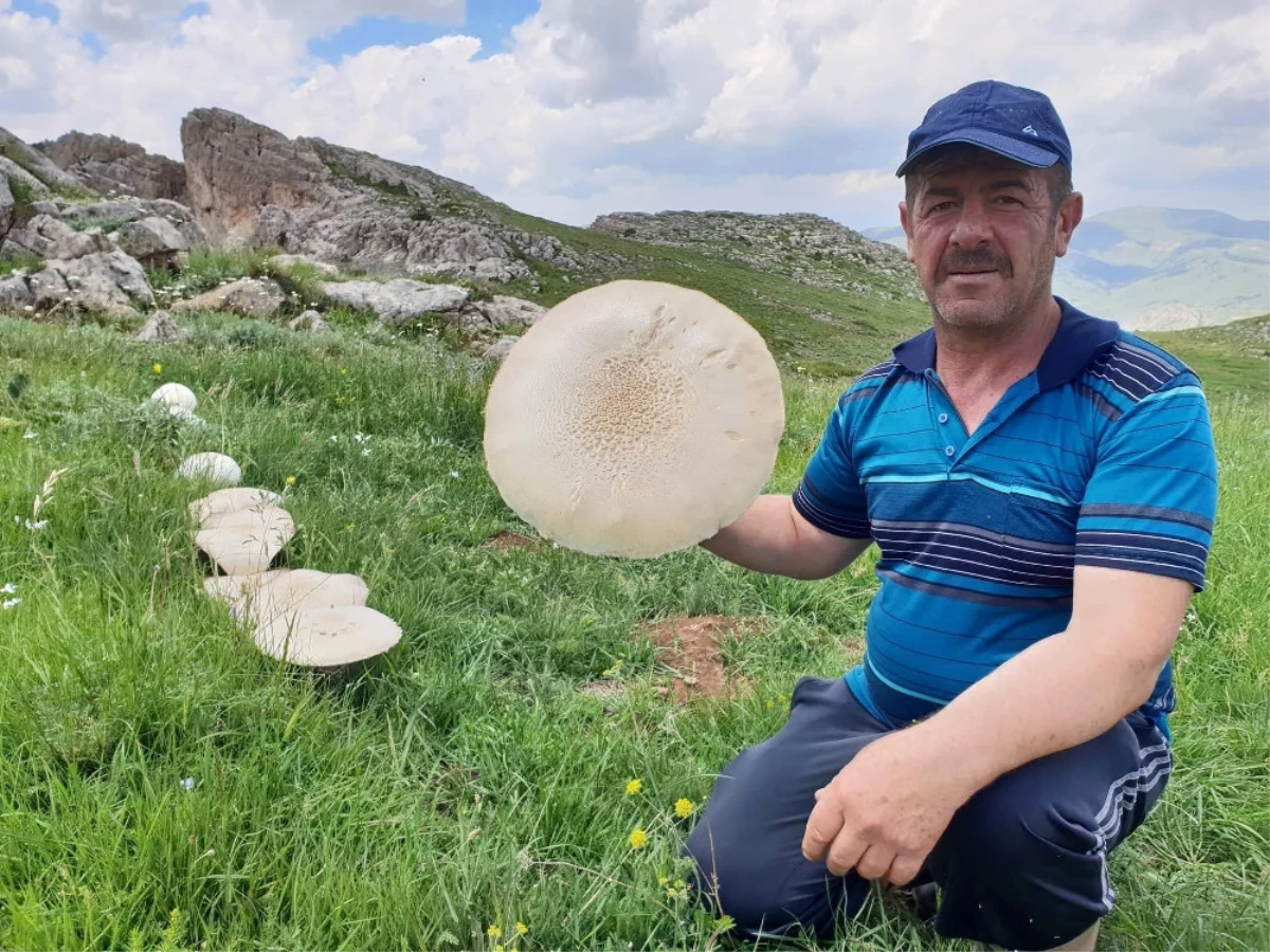 Ağırlığı Yaklaşık 2 Kilogram