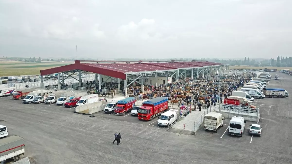 Çorum\'da Yapımı Tamamlanan Yeni Hayvan Pazarı Açıldı