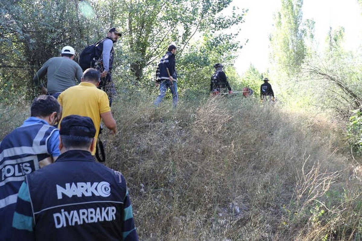 Diyarbakır\'da 2 Bin 675 Kök Kenevir Ele Geçirildi