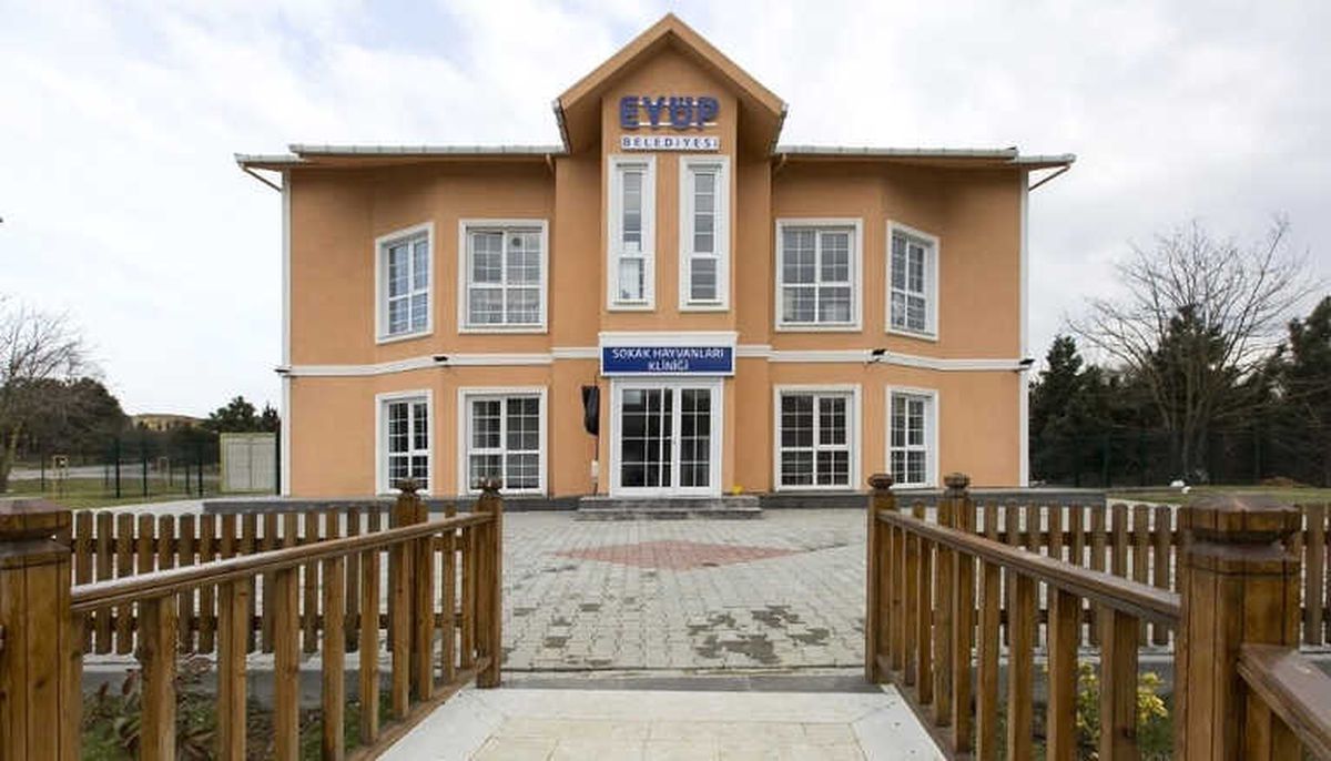 Eyüpsultan\'da Sokak Hayvanları Kliniği Haftanın 6 Günü Hizmet Veriyor