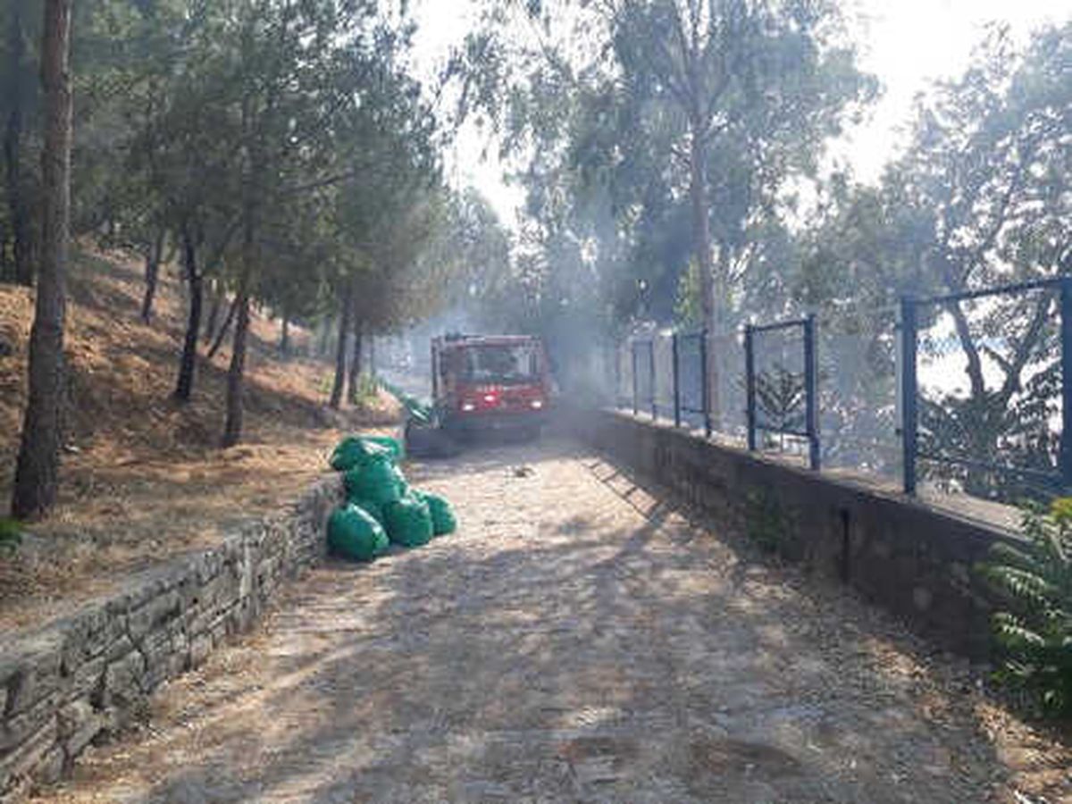 Parktaki Yangın Korkuttu