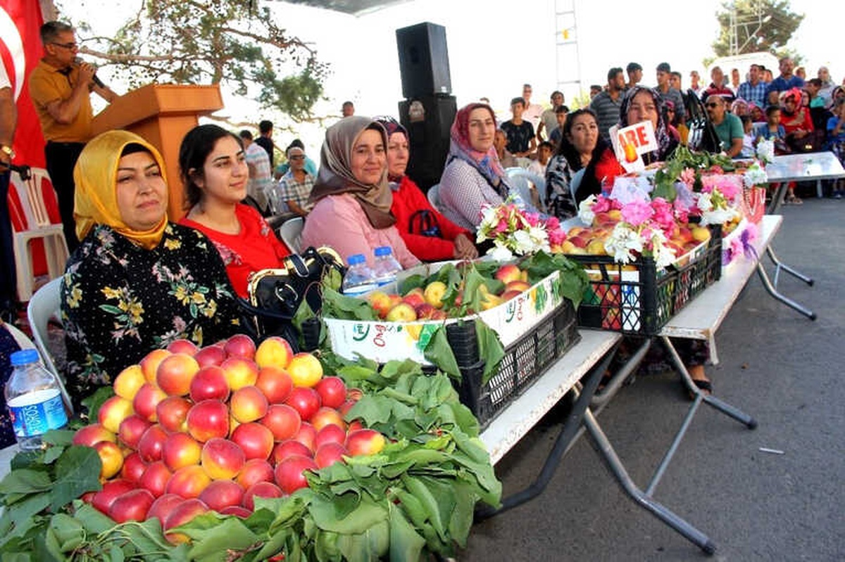 Terörden Temizlenen Amanoslar\'da "Kayısı Festivali"