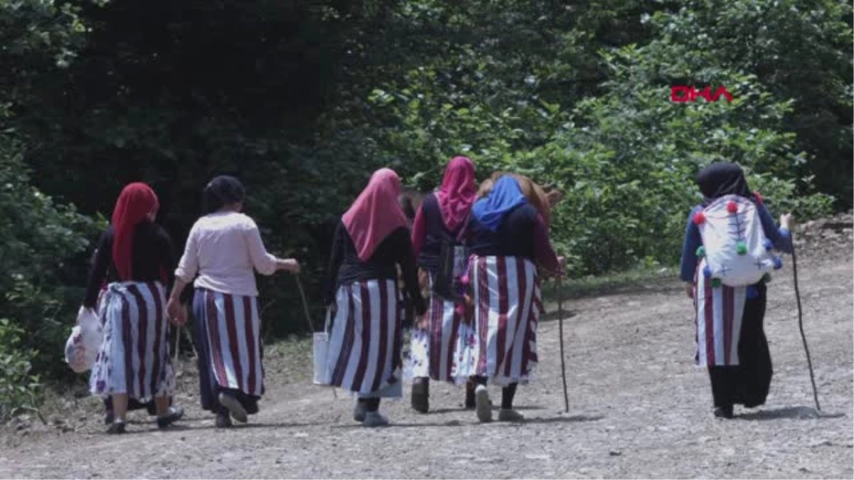 Trabzon\'da Yayla Göçü Şenliği Düzenlendi Hd