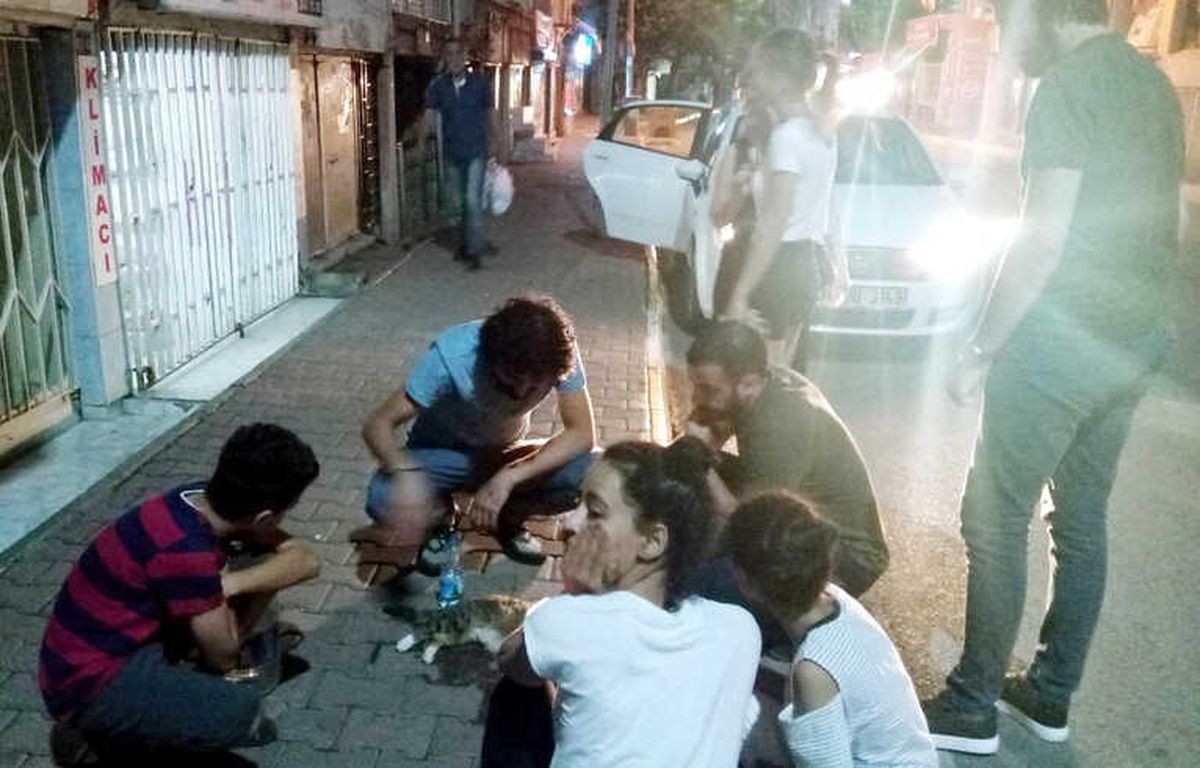 Antalya\'da 5. Kattan Düşen Kedi İçin Seferber Oldular